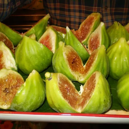 Vateri Casa de hóspedes Límni